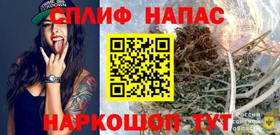 гидра Берёзовский