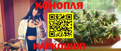 гидра Берёзовский