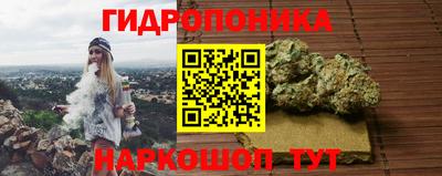 крисы Балашиха