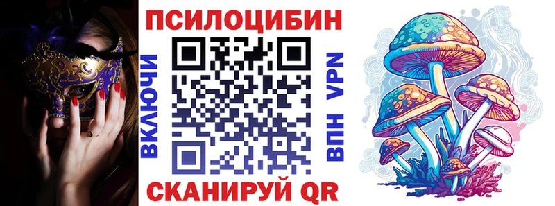 Псилоцибиновые грибы MAGIC MUSHROOMS  купить наркотики цена  Дубна 