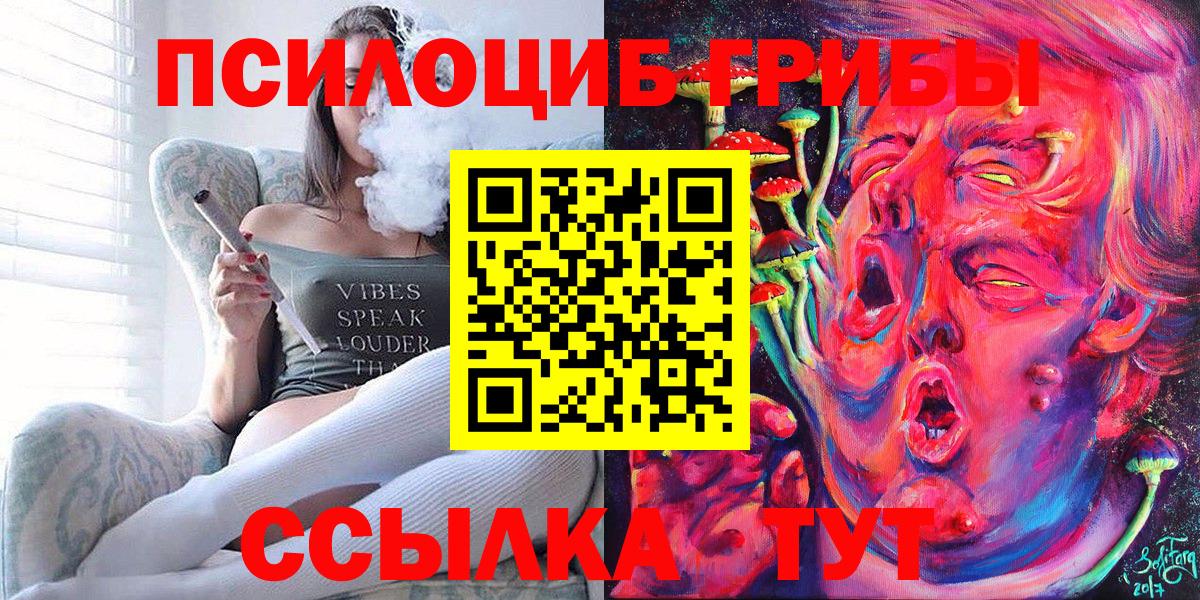 Псилоцибиновые грибы Psilocybe Дубна