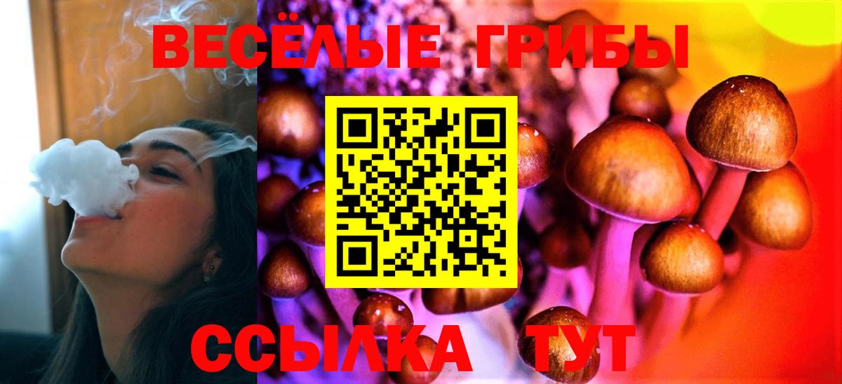 Альфа ПВП Дубна